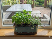 Herb planter on a windowsill with outdoor furniture in the background