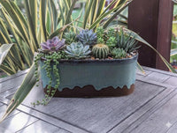 Decorative planter with succulents on a wooden surface
