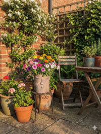 Outdoor garden scene with potted plants, a chair, and a table against a brick wall.