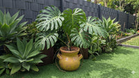 Yellow Sunburst Planter | 10.5" Round Mexican Flower Pot