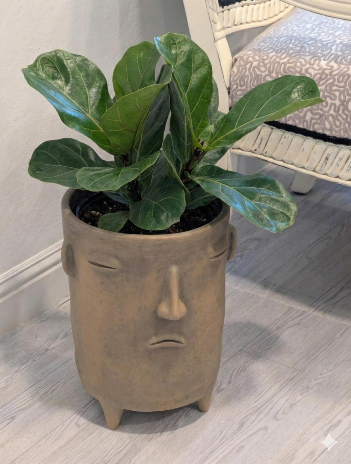 Sad Face Planter | Handmade Mexican Pottery | Artisan Flower Pot Home Decor