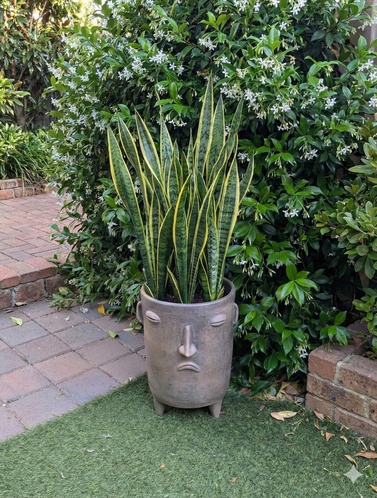 Sad Face Planter | Handmade Mexican Pottery | Artisan Flower Pot Home Decor
