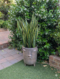 Sad Face Planter | Handmade Mexican Pottery | Artisan Flower Pot Home Decor