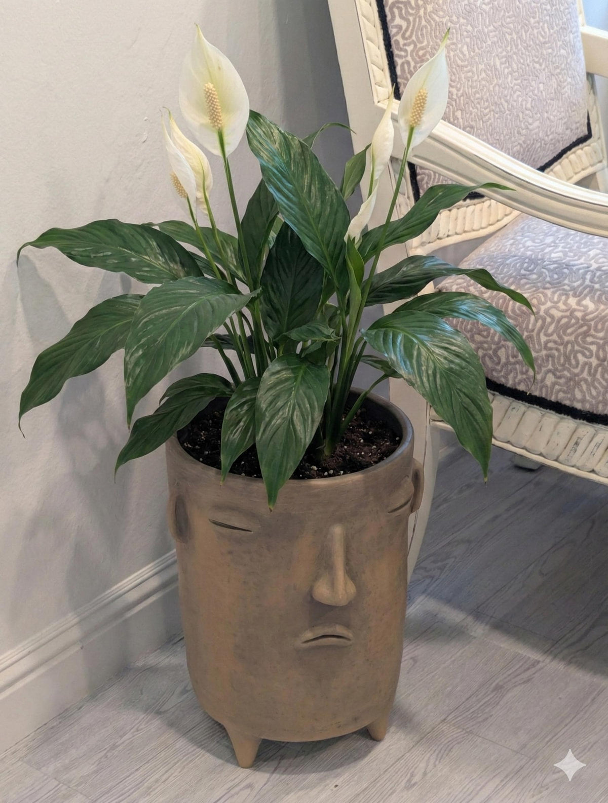 Sad Face Planter | Handmade Mexican Pottery | Artisan Flower Pot Home Decor