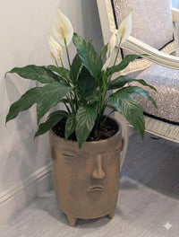 Sad Face Planter | Handmade Mexican Pottery | Artisan Flower Pot Home Decor