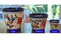 Hummingbird Planter Bundles | Hand-painted Mexican Ceramic Flower Pots