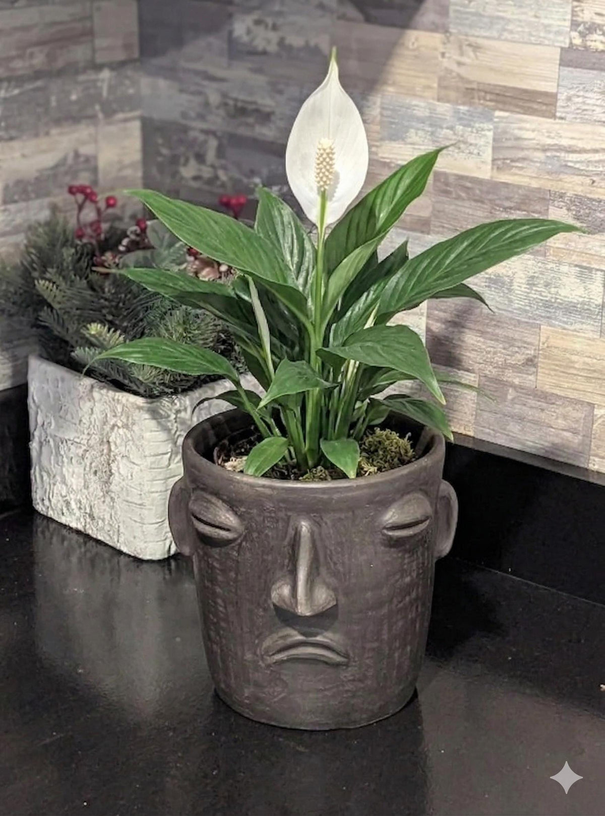 Sad Face Planter Bundle | Handmade Mexican Pottery | Artisan Flower Pot Home Decor