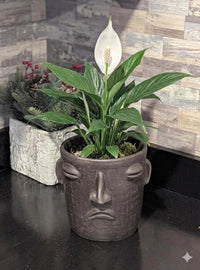 Sad Face Planter Bundle | Handmade Mexican Pottery | Artisan Flower Pot Home Decor
