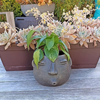 Whistling Round Face Planter Bundles | Handmade Artisan Pottery of Atzompa, Mexico  | Black Flower Pot