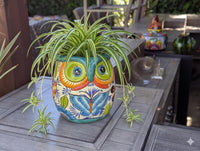 Talavera Owl Planter | Handmade Mexican Ceramic Flower Pot | Housewarming Gift