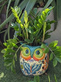 Talavera Owl Planter | Handmade Mexican Ceramic Flower Pot | Housewarming Gift