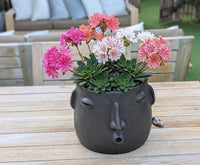 Clay Face Planter | "Whistler" Handmade Artisan Pottery from Atzompa, Mexico