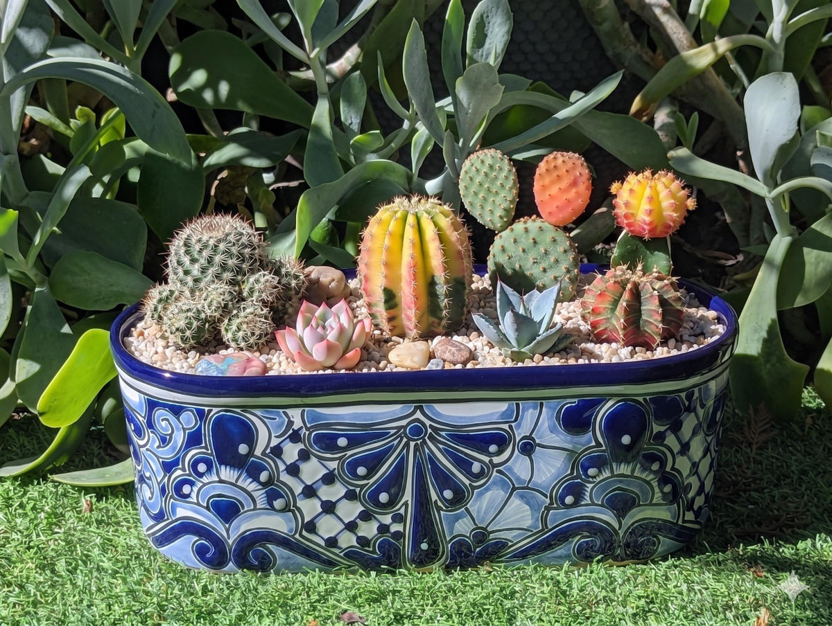 Hand Painted Talavera Oval Planter | Mexican Ceramic Window Box | Succulent Pot