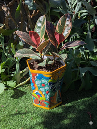Talavera Hexagon Flower Pot | Hand painted Mexican Ceramic Planter | Housewarming Gift