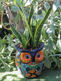 Outdoor Owl Flower Pot | 11.5" Tall Talavera Ceramic Planter | Handmade Mexican Pottery Gift