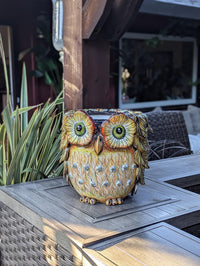 Ceramic Owl Planter | Hand Painted Animal Flower Pot  | Boho Garden Decor