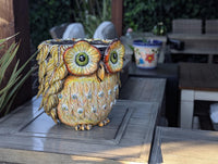 Ceramic Owl Planter | Hand Painted Animal Flower Pot  | Boho Garden Decor