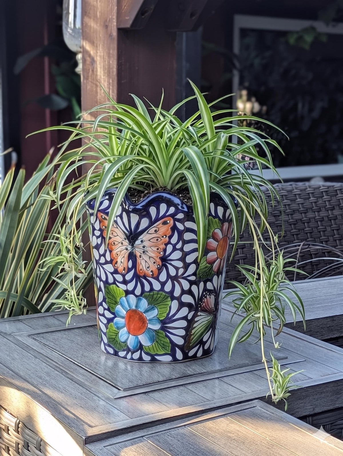 Butterfly Talavera Flower Pot  | Handmade Ceramic Planter |  Mexican Pottery Gift