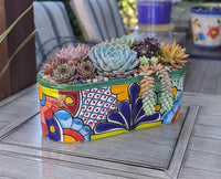 Talavera Oval Succulent Planter | Mexican Ceramic Window Box  | Hand Painted Pot