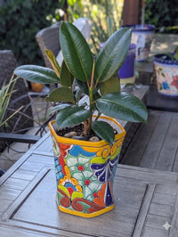 Talavera Hexagon Flower Pot | Hand painted Mexican Ceramic Planter | Housewarming Gift
