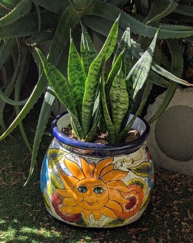 11.5" Oval Mexican Sun Flower Pot  | Handmade Talavera Ceramic Planter  | Outdoor Yard Art