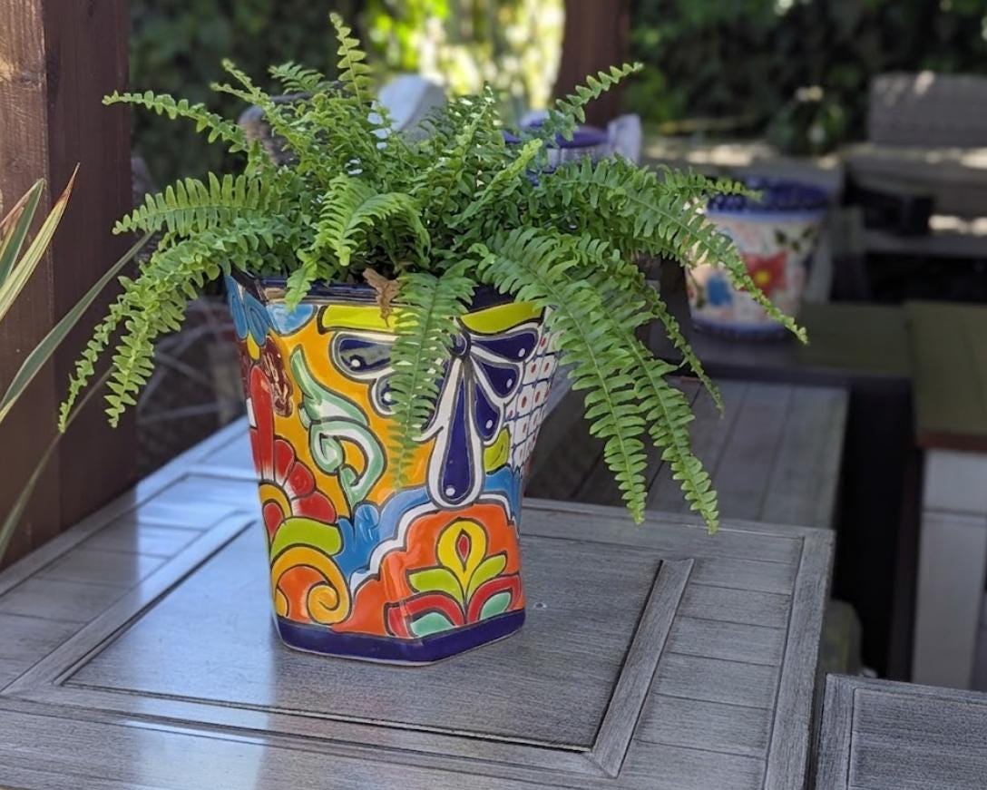Talavera Hexagon Flower Pot | Hand painted Mexican Pottery Garden Decor | Housewarming Gift
