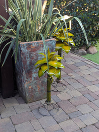 Pygmy Palm Trees | Metal Yard Art & Garden Decor Centerpieces