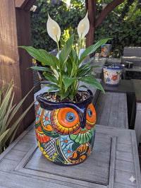 Outdoor Owl Flower Pot | 11.5" Tall Talavera Ceramic Planter | Handmade Mexican Pottery Gift