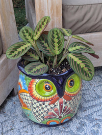 11.5" Tall Talavera Owl Planter | Handmade Ceramic Flower Pot | Outdoor Mexican Pottery Gift