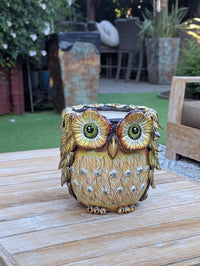 Ceramic Owl Planter | Hand Painted Animal Flower Pot  | Boho Garden Decor