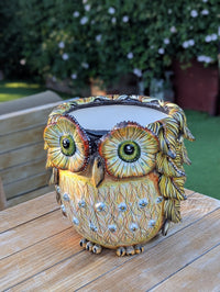 Ceramic Owl Planter | Hand Painted Animal Flower Pot  | Boho Garden Decor