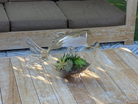 Hand Blown Glass Fish Terrarium Vase | Glass Planter for Succulents and Air Plants
