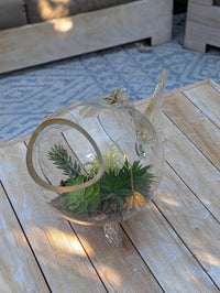 Hand Blown Glass Fish Terrarium Vase | Glass Planter for Succulents and Air Plants