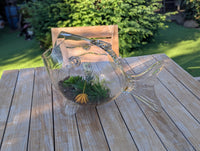 Hand Blown Glass Fish Terrarium Vase | Glass Planter for Succulents and Air Plants
