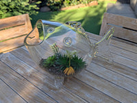 Hand Blown Glass Fish Terrarium Vase | Glass Planter for Succulents and Air Plants
