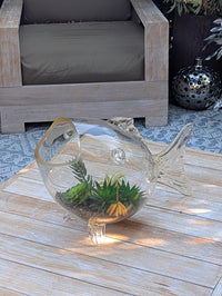 Hand Blown Glass Fish Terrarium Vase | Glass Planter for Succulents and Air Plants