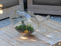 Hand Blown Glass Fish Terrarium Vase | Glass Planter for Succulents and Air Plants