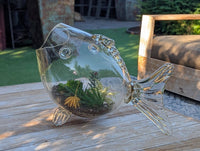 Hand Blown Glass Fish Terrarium Vase | Glass Planter for Succulents and Air Plants