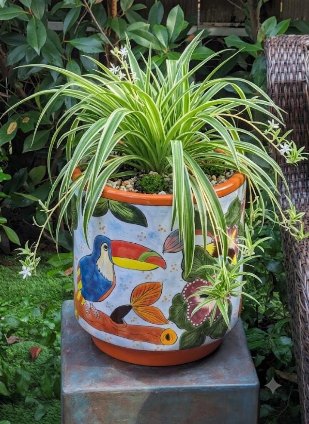 Toucan Planter | 14" Ceramic Talavera Flower Pot | Handmade Mexican Pottery