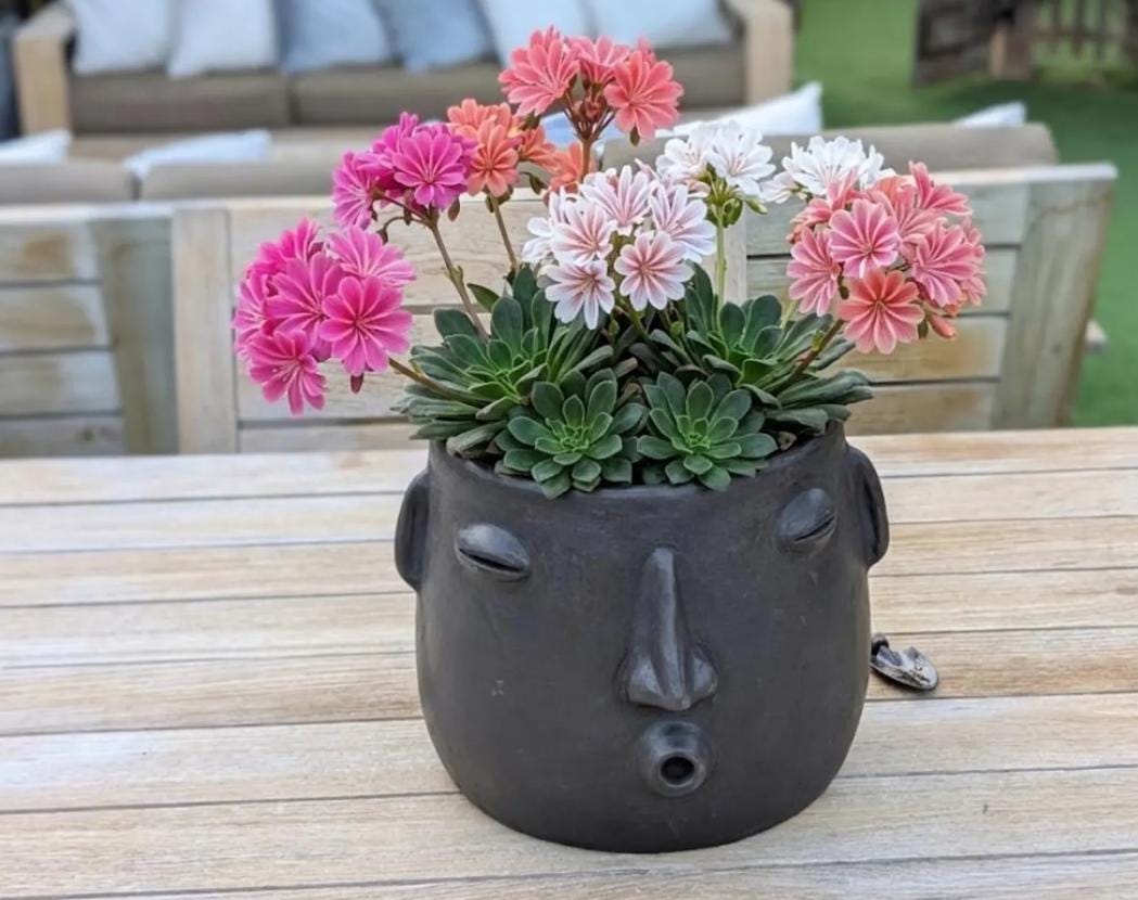Whistling Round Face Planter Bundles | Handmade Artisan Pottery of Atzompa, Mexico  | Black Flower Pot
