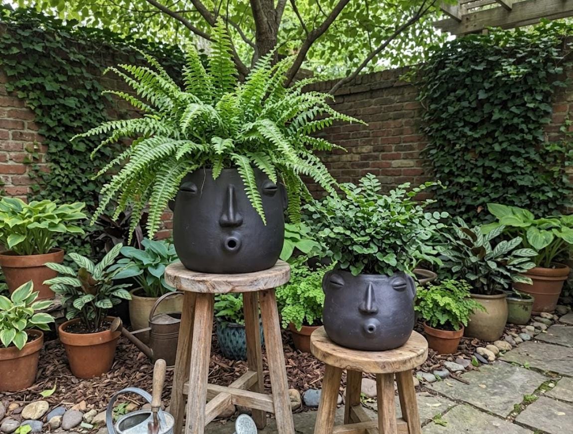Whistling Round Face Planter Bundles | Handmade Artisan Pottery of Atzompa, Mexico  | Black Flower Pot