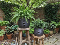 Whistling Round Face Planter Bundles | Handmade Artisan Pottery of Atzompa, Mexico  | Black Flower Pot