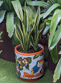 Toucan Planter | 14" Ceramic Talavera Flower Pot | Handmade Mexican Pottery