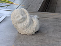 Concrete Sloth Succulent Planter | Mini Stone Animal Flower Pot for Indoor & Outdoor Decor
