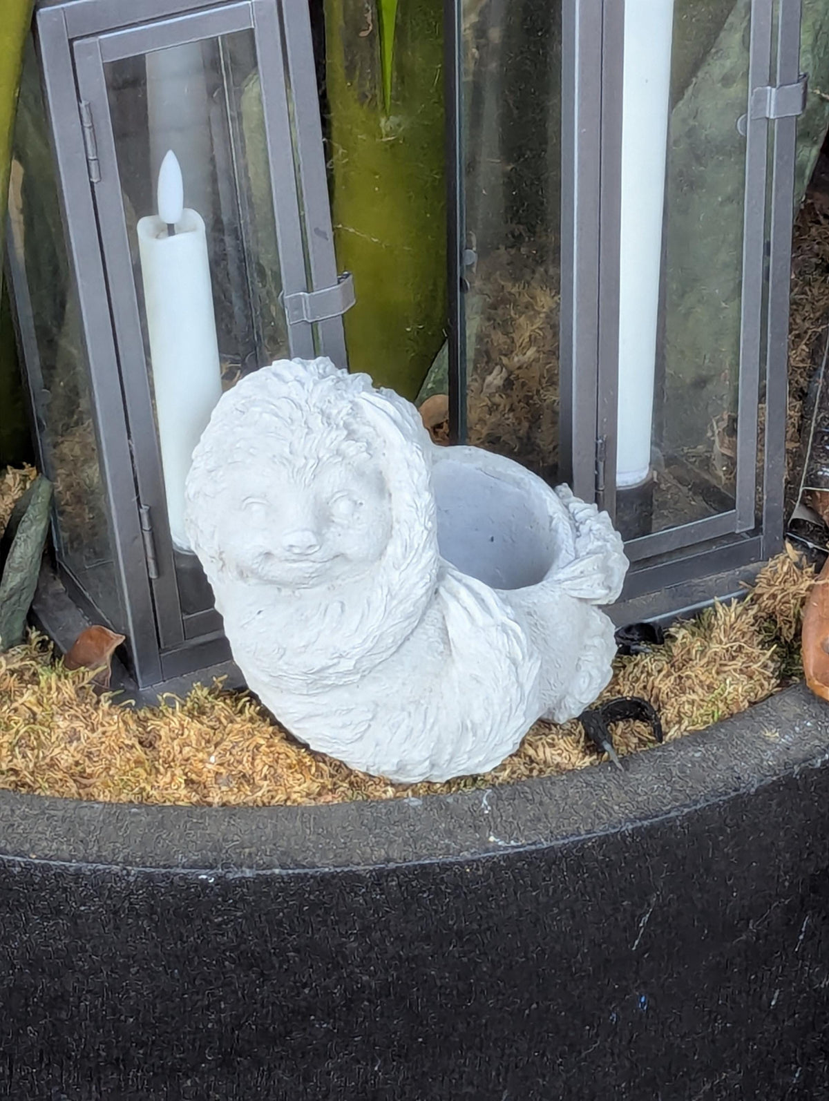 Concrete Sloth Succulent Planter | Mini Stone Animal Flower Pot for Indoor & Outdoor Decor