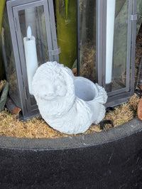 Concrete Sloth Succulent Planter | Mini Stone Animal Flower Pot for Indoor & Outdoor Decor