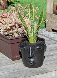 Whistler Planter Bundles  | Black Flower Pot  | Handmade Mexican Clay Pottery | Lawn Ornament
