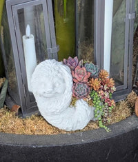 Concrete Sloth Succulent Planter | Mini Stone Animal Flower Pot for Indoor & Outdoor Decor
