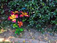 Handcrafted Metal Flower Sculpture | Outdoor Lily Garden Decor |  Lawn Ornament Gift for Her