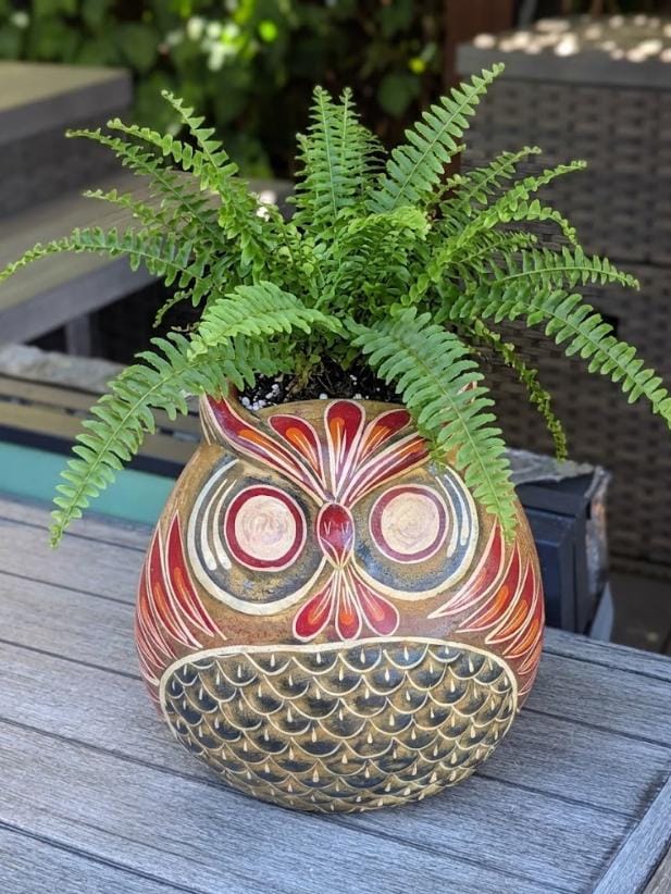 Handmade Clay Owl Flower Pot | Mexican Pottery Planter  | Animal Garden Gift